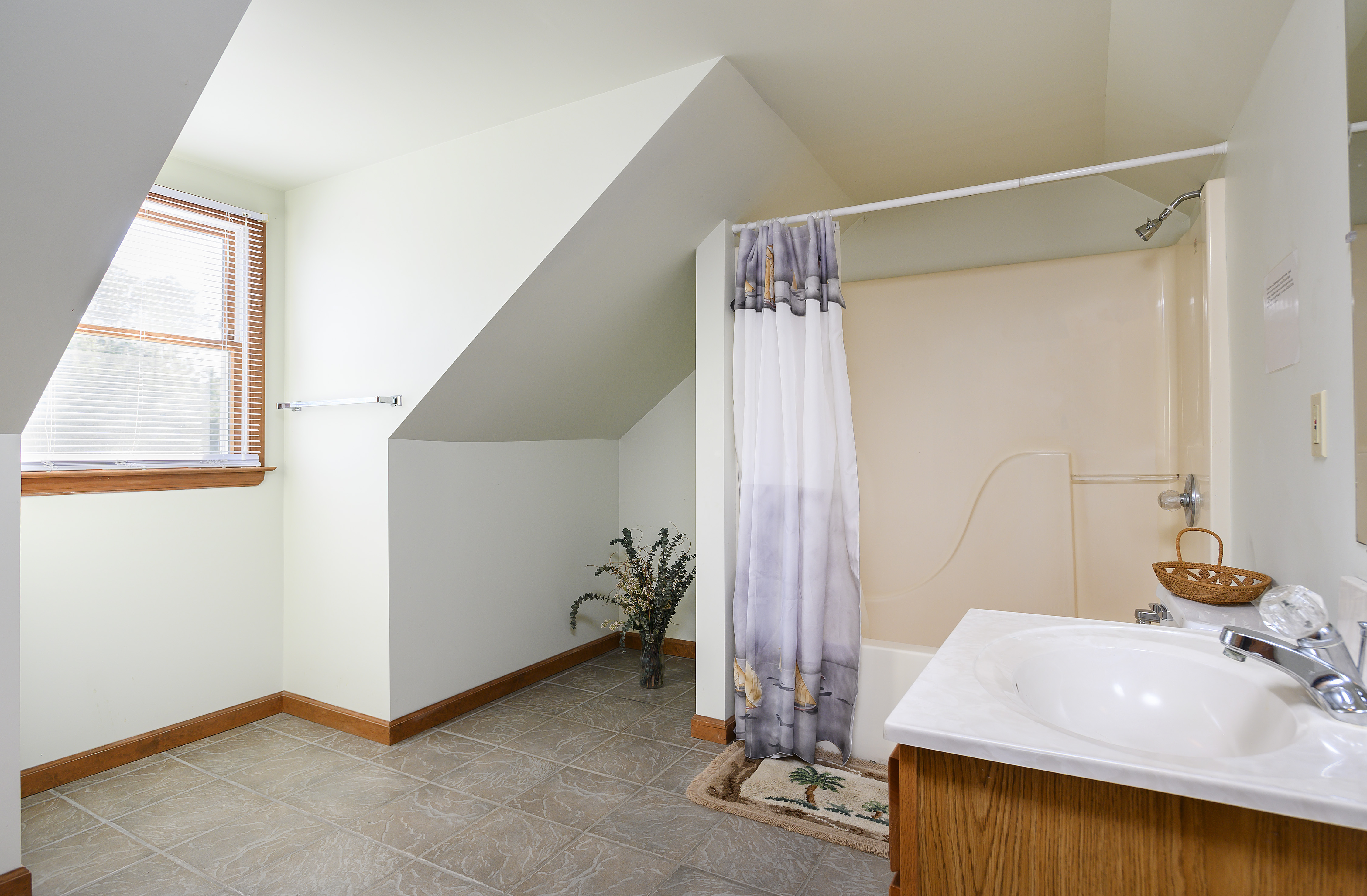 Huge Master Bath with Tub/Shower Combo.