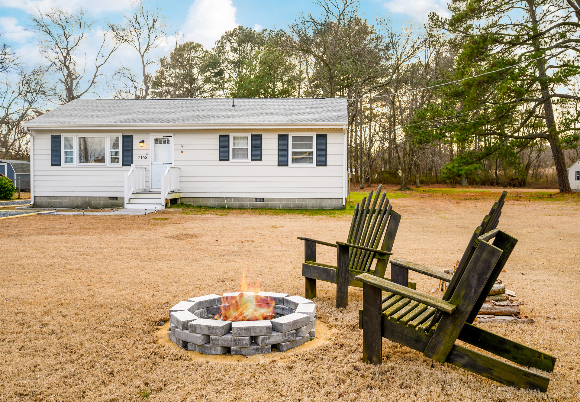 Lily Pad is both adorable and affordable!