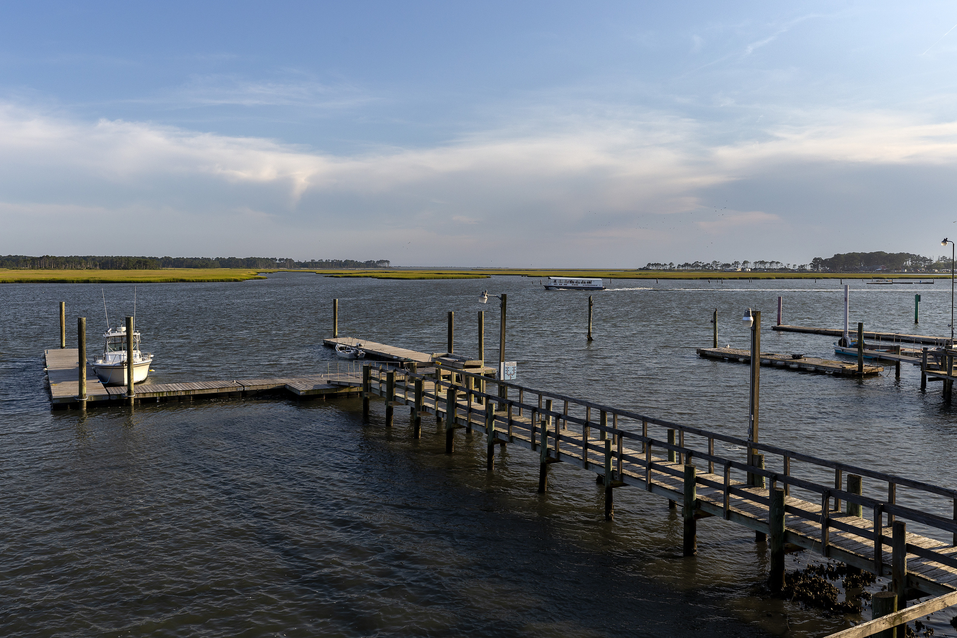 The kids will love exploring at Low Tide and finding clams, oysters, and Hermit Crabs.