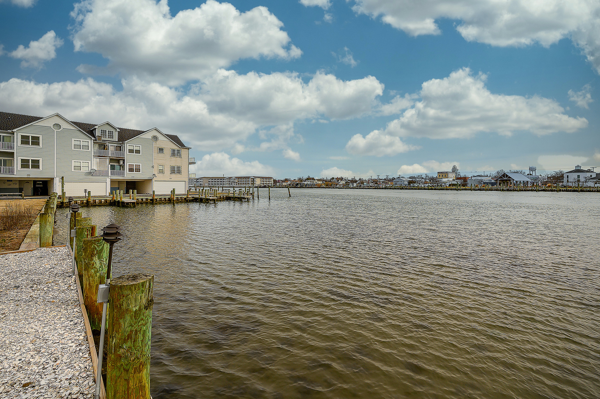 The Channel is teeming with Birds, Fish, Dolphins, and more!