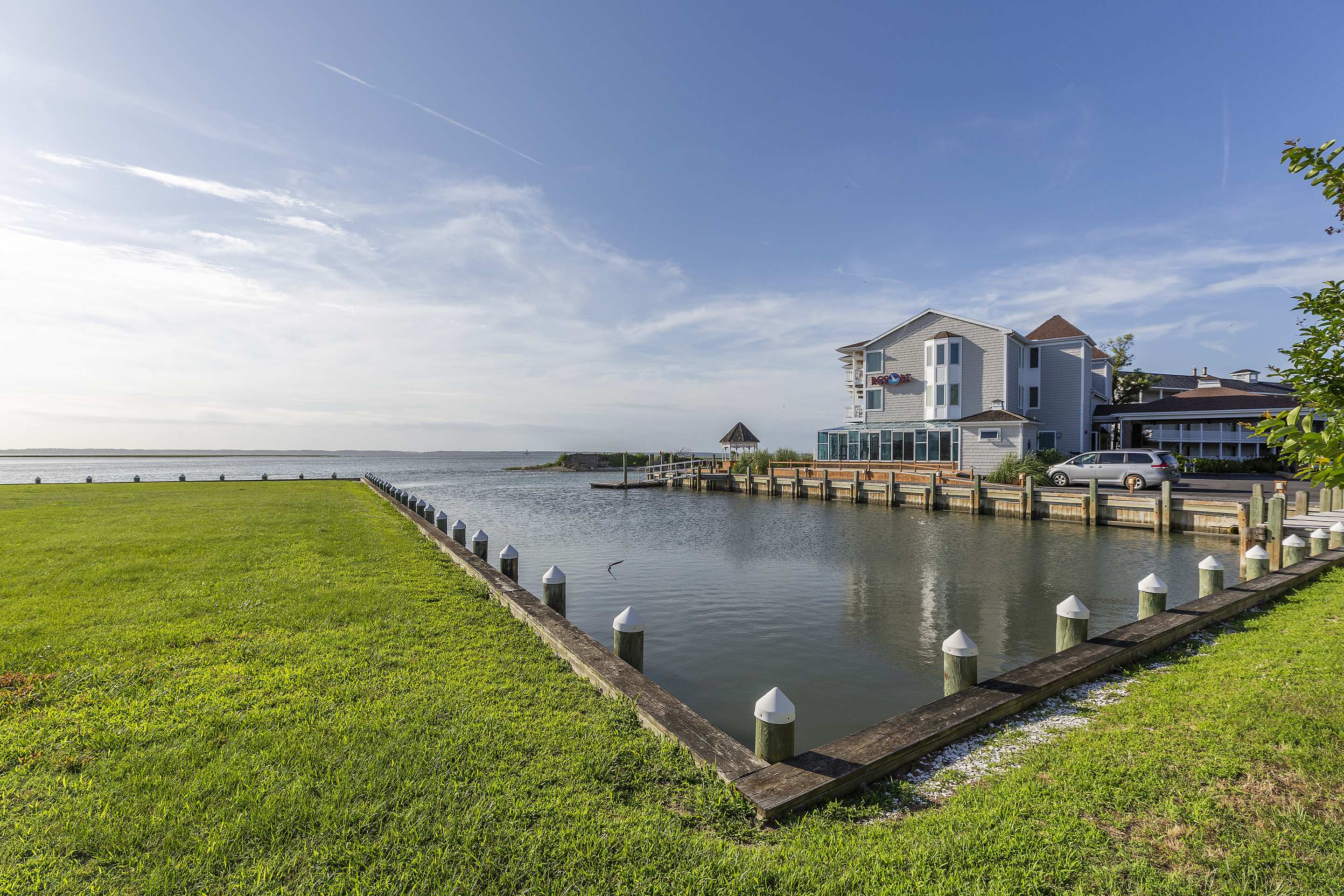 Watch the Herons & Egrets fish for their morning meal.