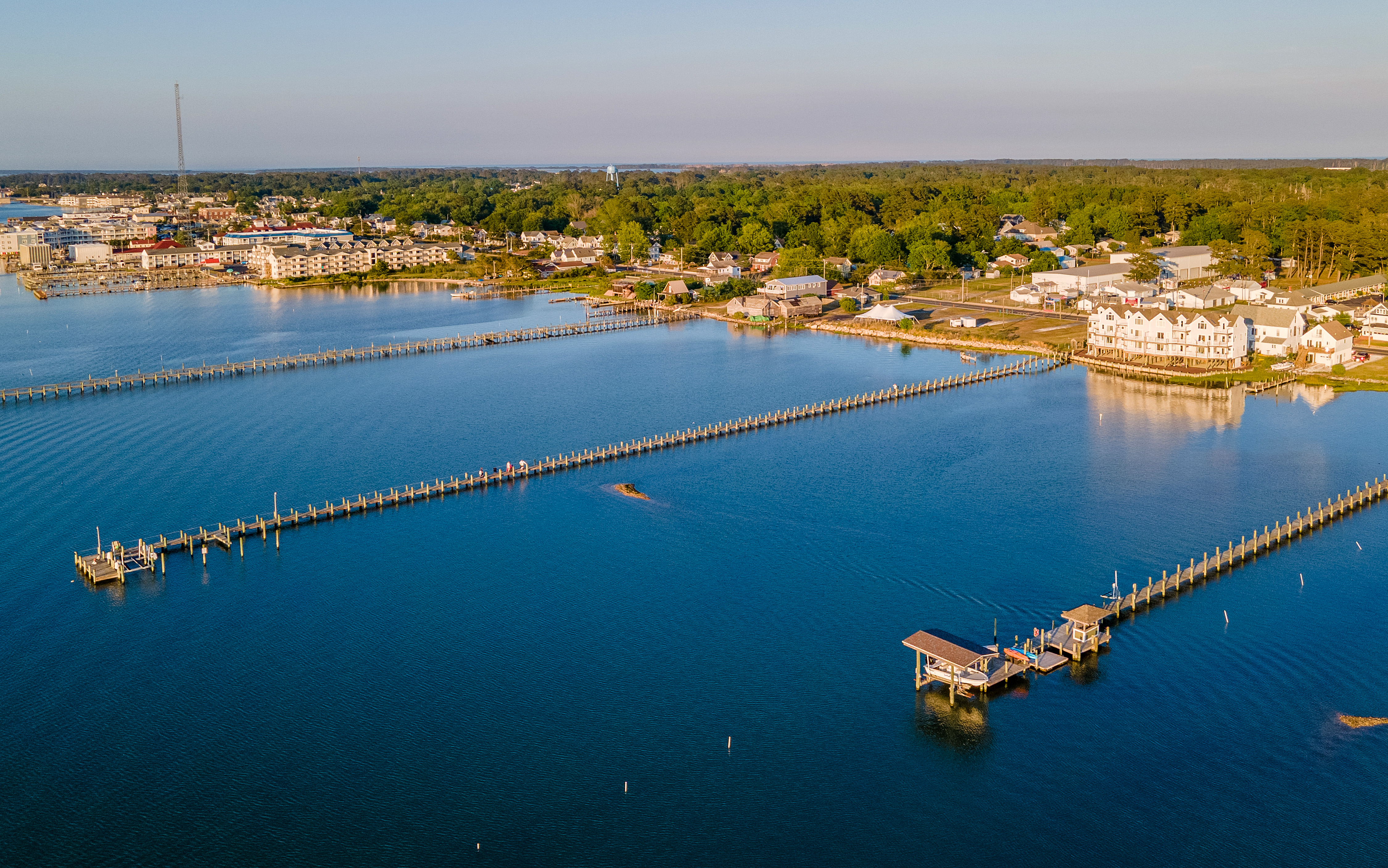 Our clean waters are home to an abundance of sea life.