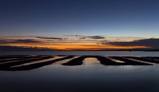 Beach Blessing | Photo 27