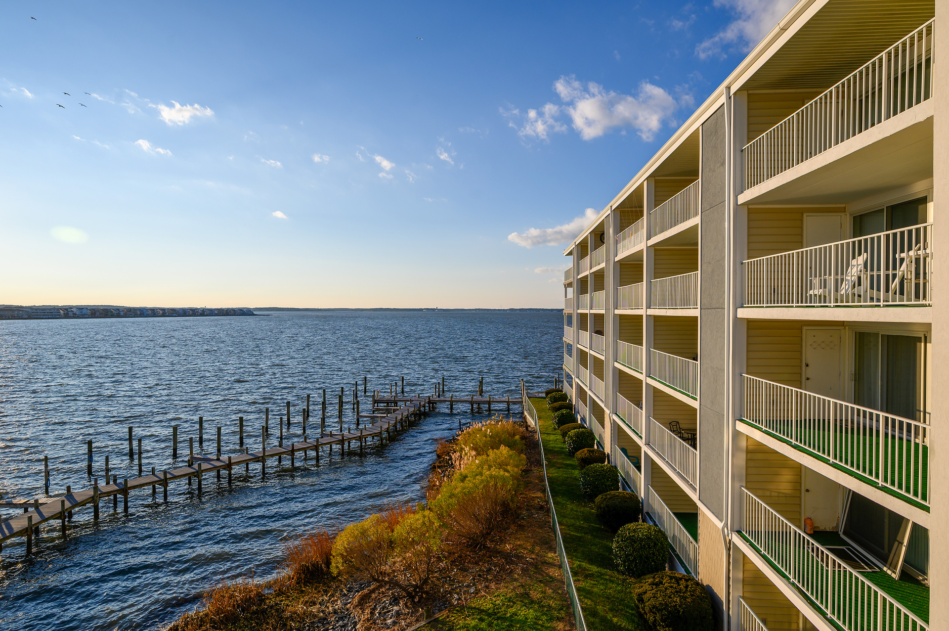 Fish and Crab from the Community Pier.