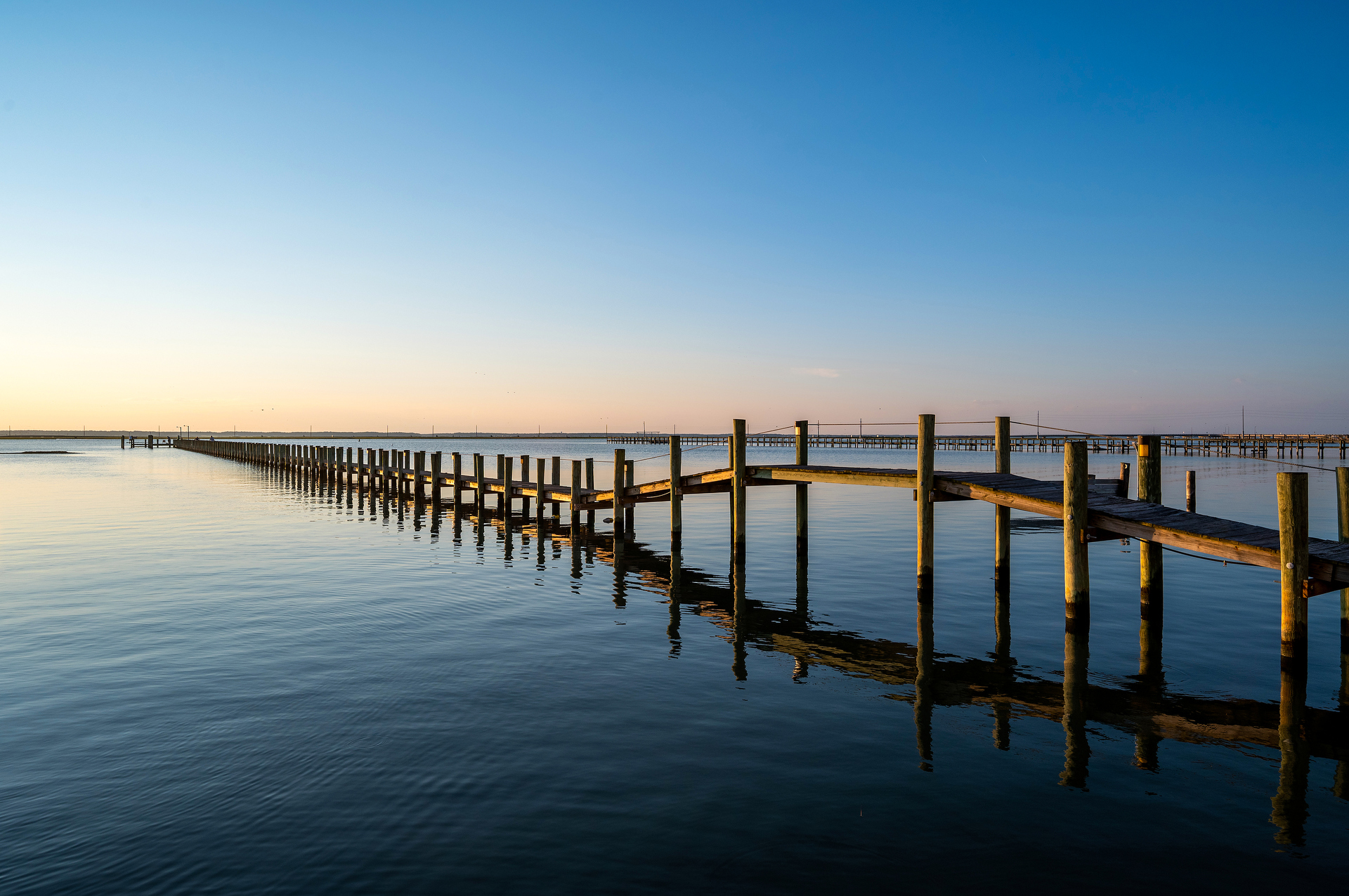 Wonder what you will catch from the Pier?