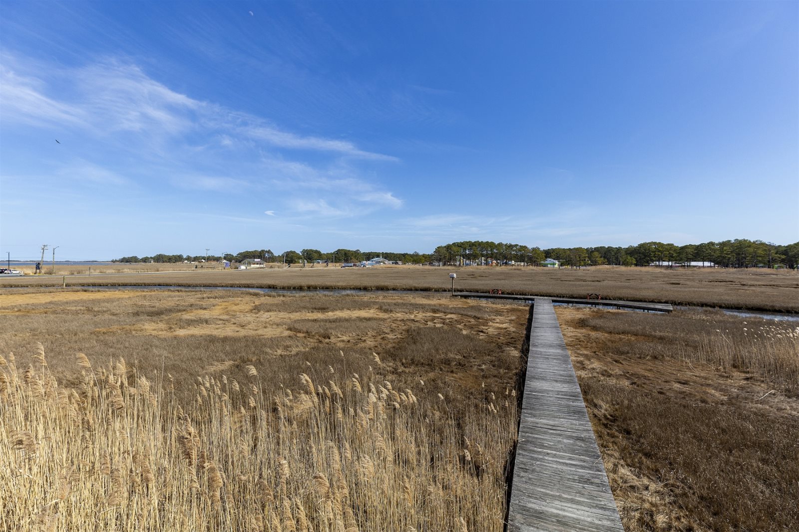 Assateague Inn 207-S | Photo 18