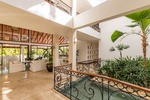 Bright and airy interior with elegant décor and indoor greenery.