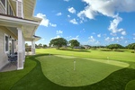 Putting green in the yard surrounded by lush greenery, perfect for practicing your short game.