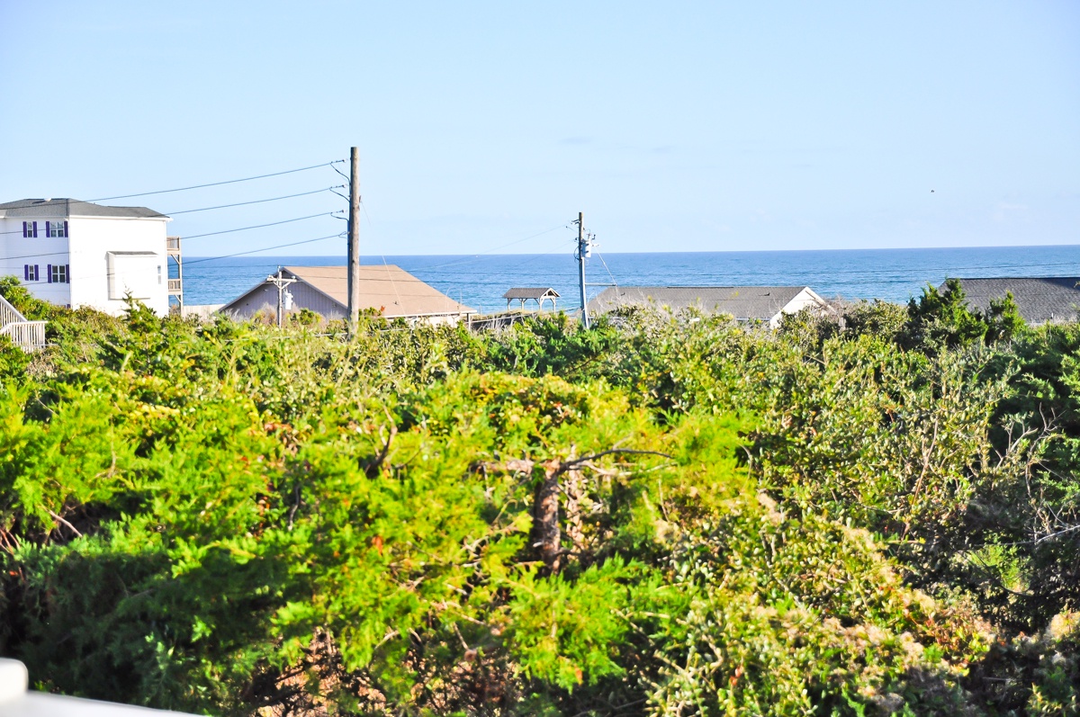 View off Living Area