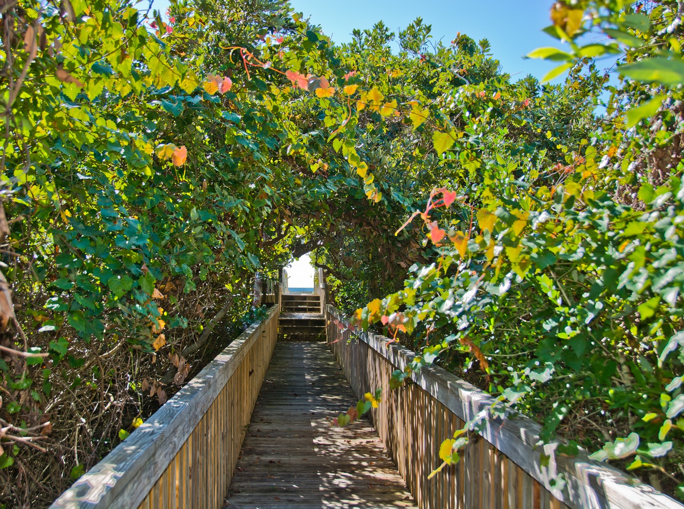 Walk Way To Beach