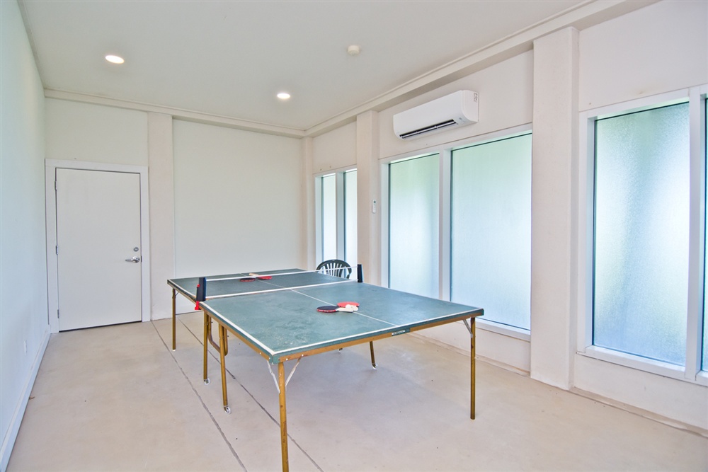 Ground Level Ping Pong (Main Residence)