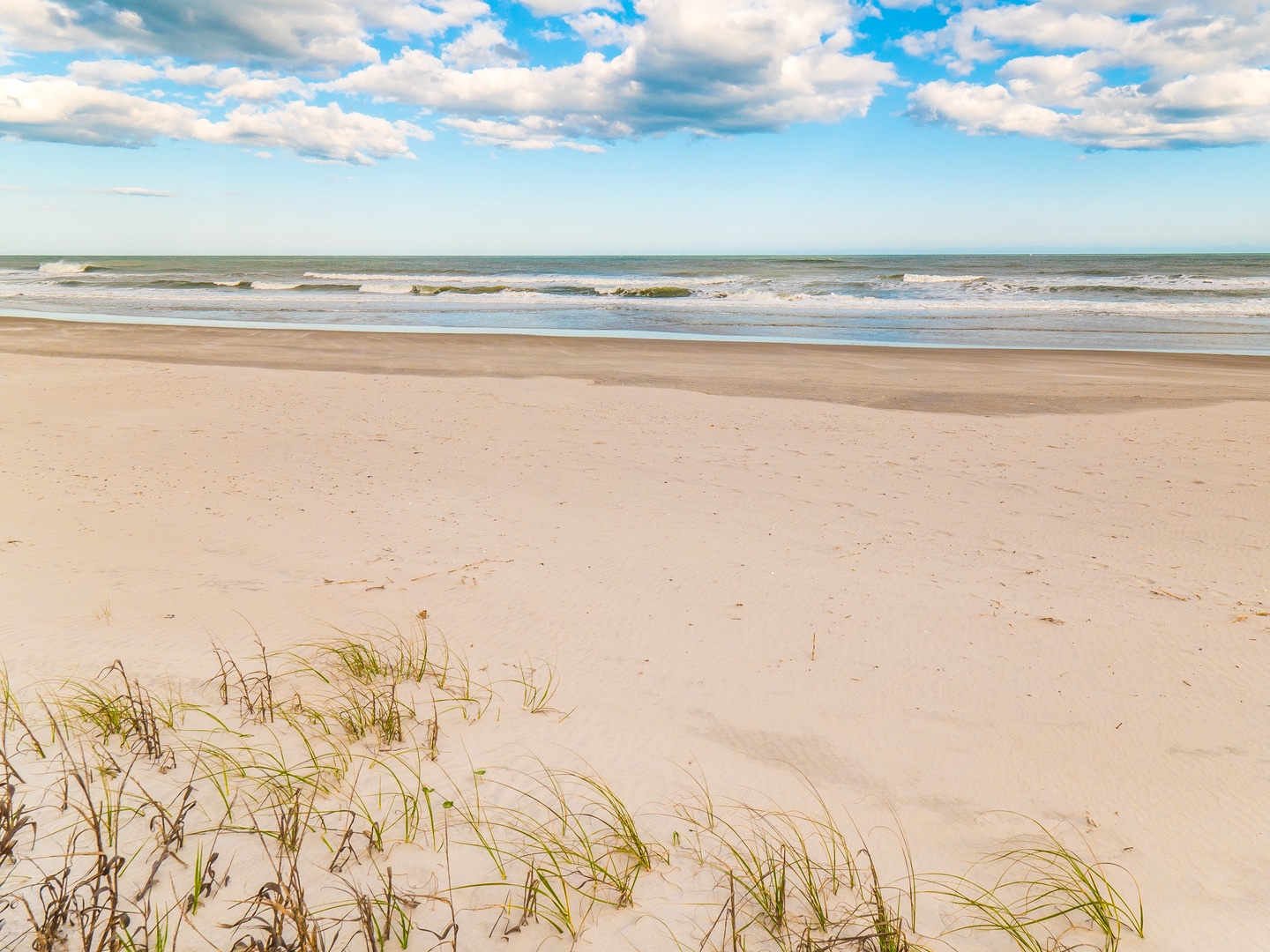 33 Q30-large-2000px - beach
