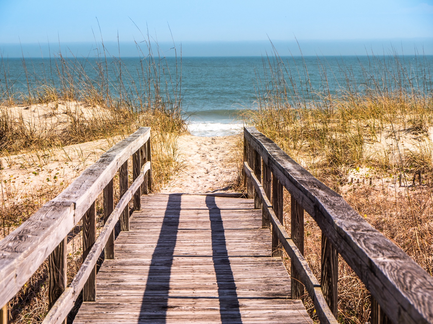 pelicanperch20