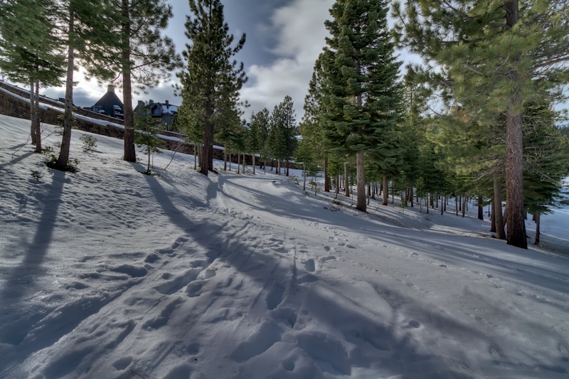 Path to Slopes (not actual backyard)