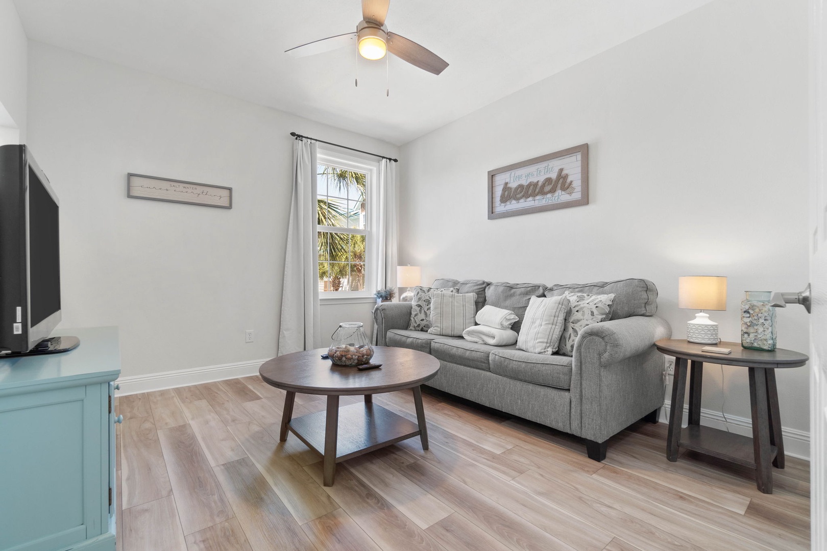 Living room are with sleeper sofa