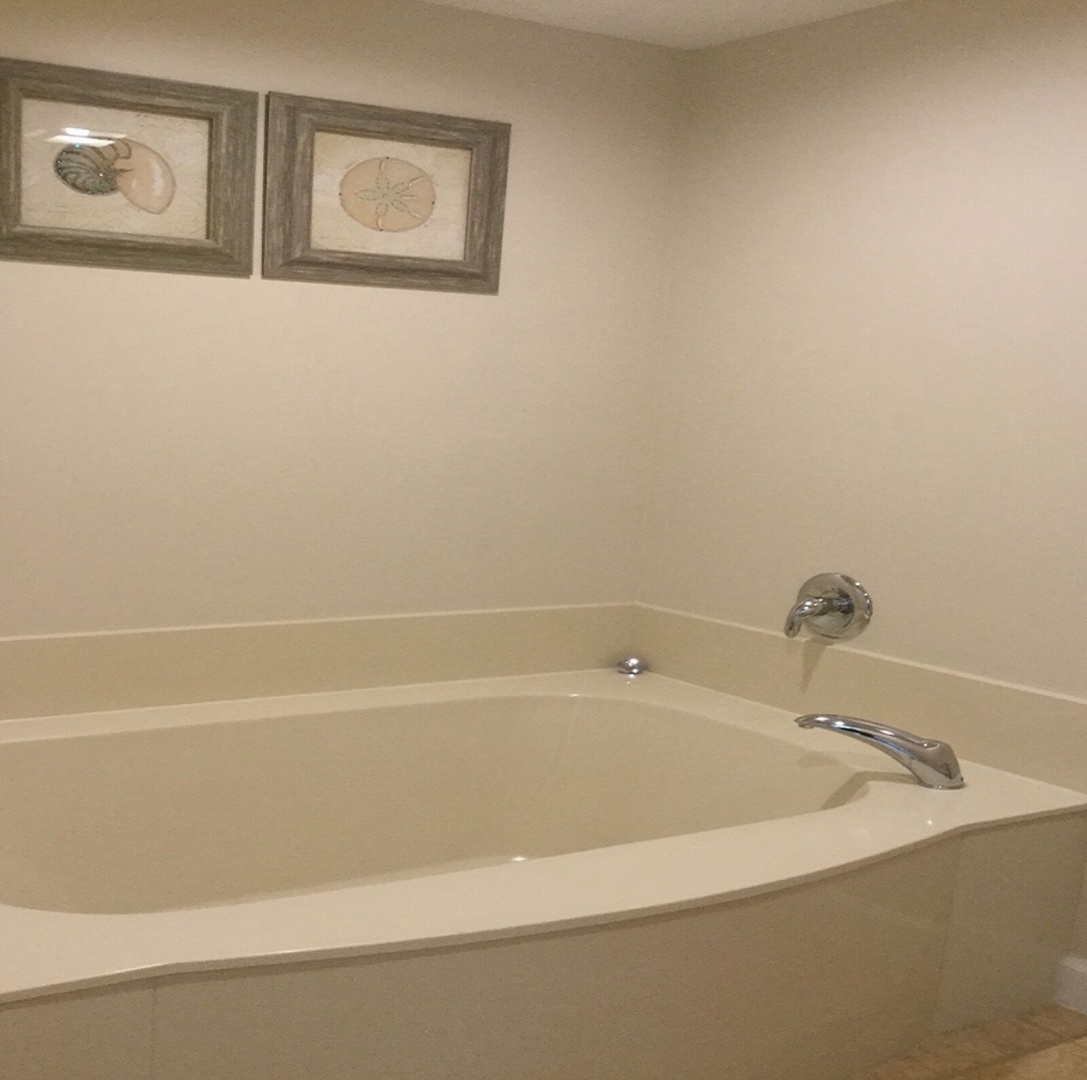 Master bathroom tub