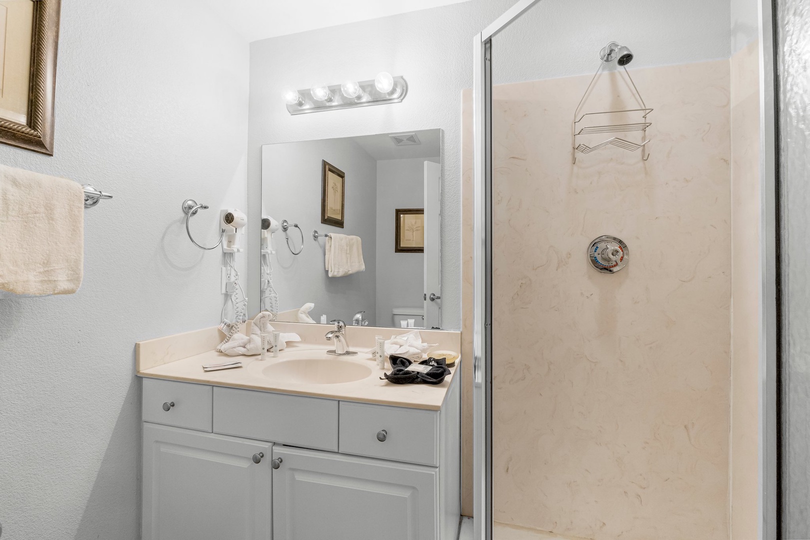 Guest bathroom