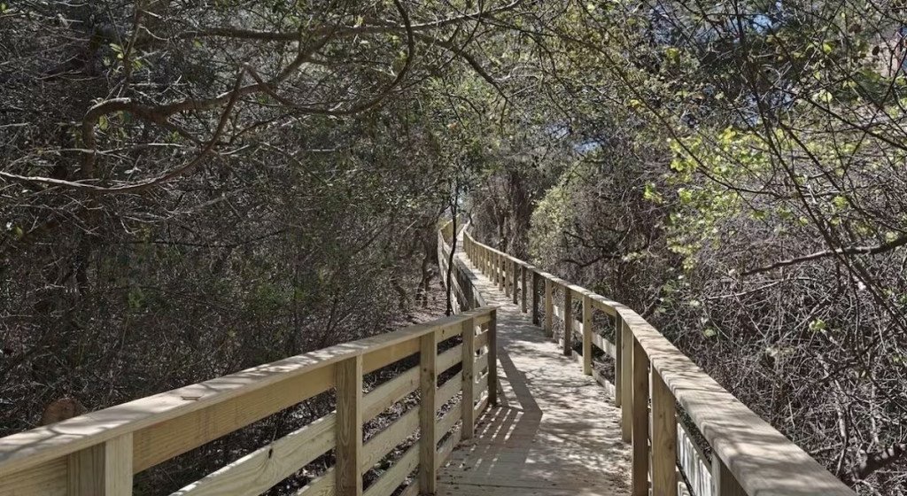 Beach Boardwalk