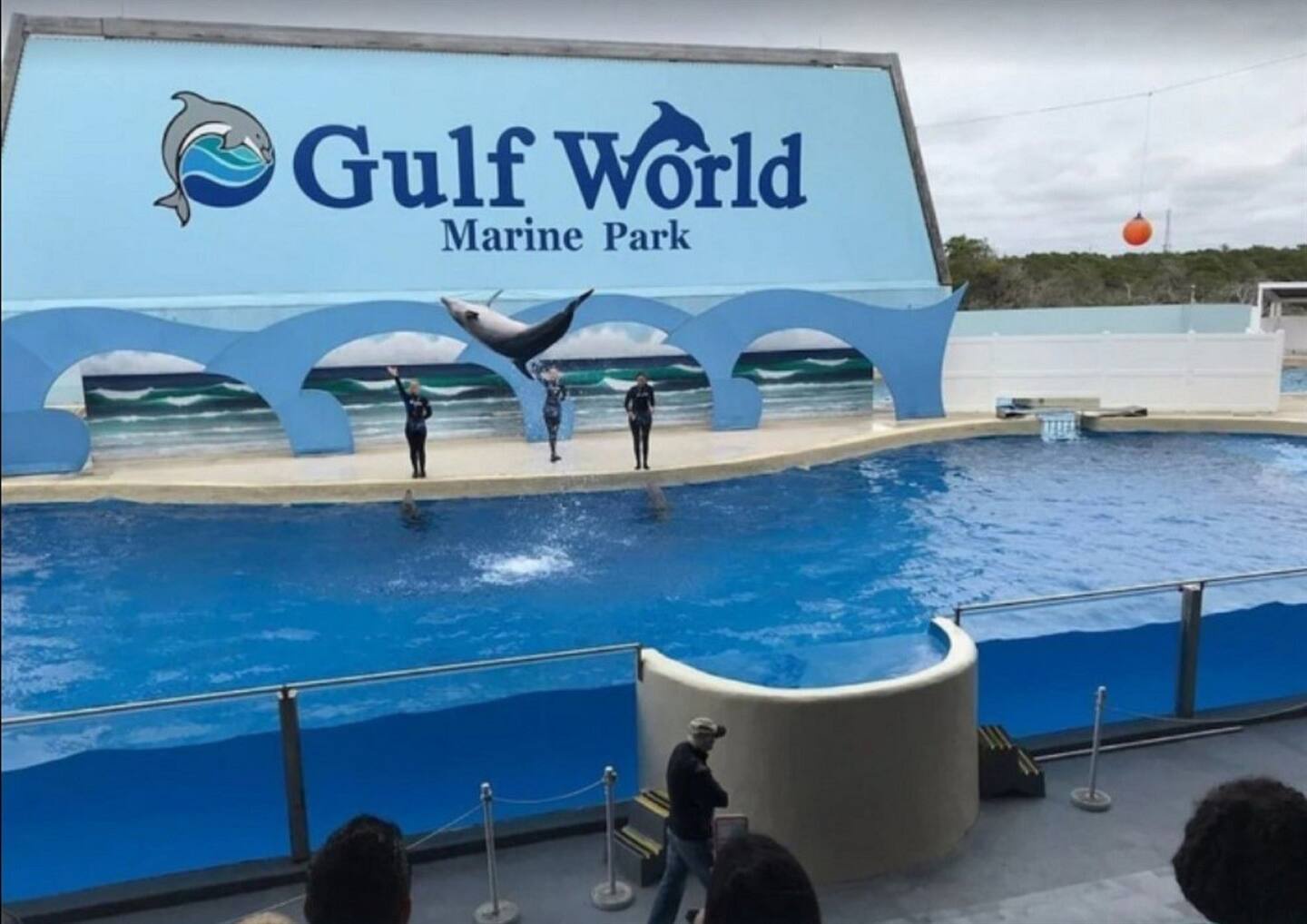 Gulf World Marine Park