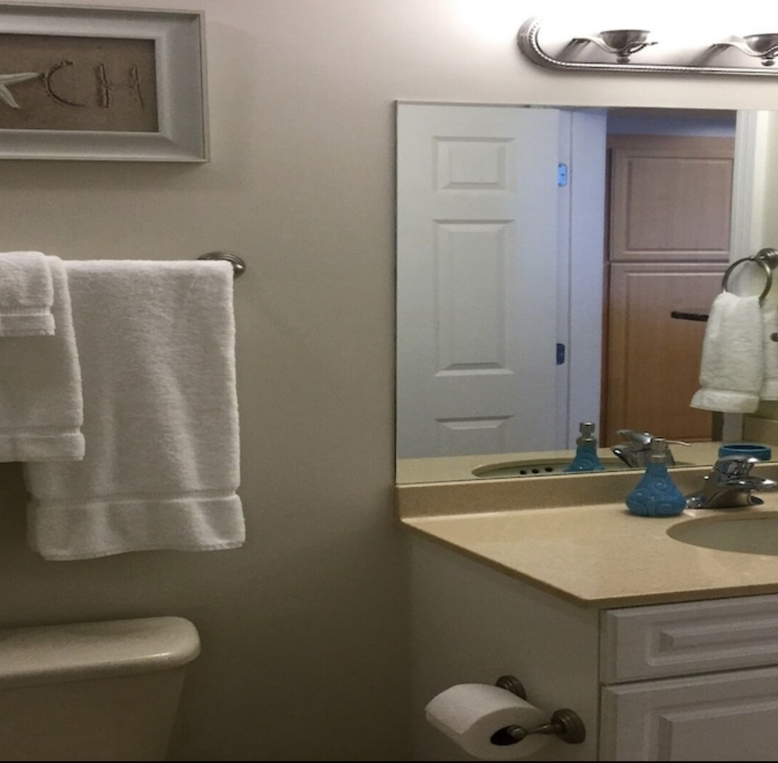 Guest bathroom