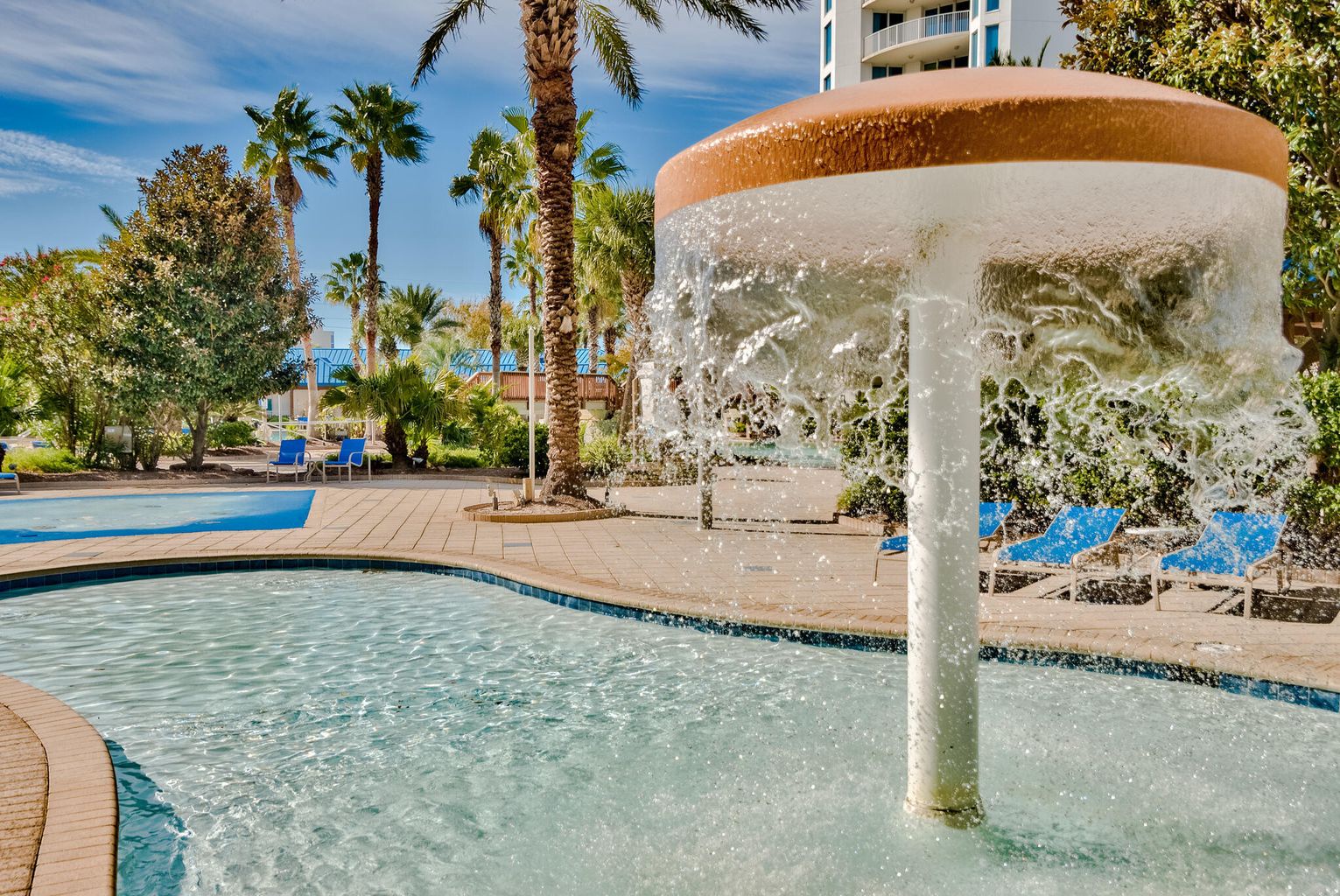 Palms pool 10