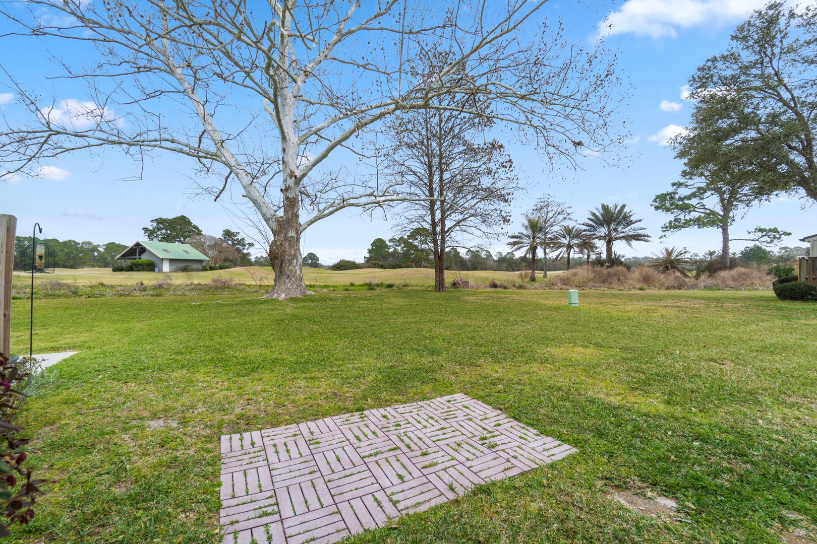 Backyard area