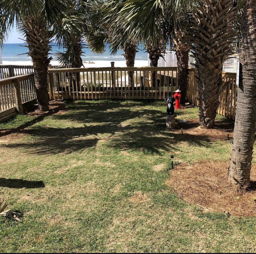 Dog Park at Ambassador Condos. The dog park is exclusively for condo guests!