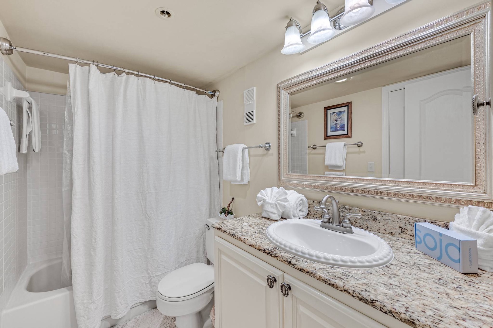 Guest bathroom with shower and tub combo