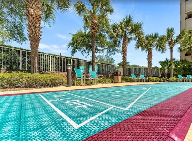 Shuffleboard EB Medium