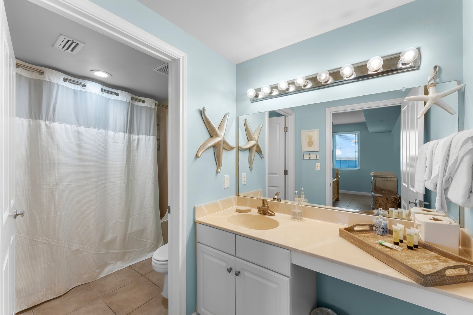 Primary bathroom