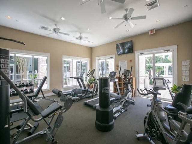 Gym Medium