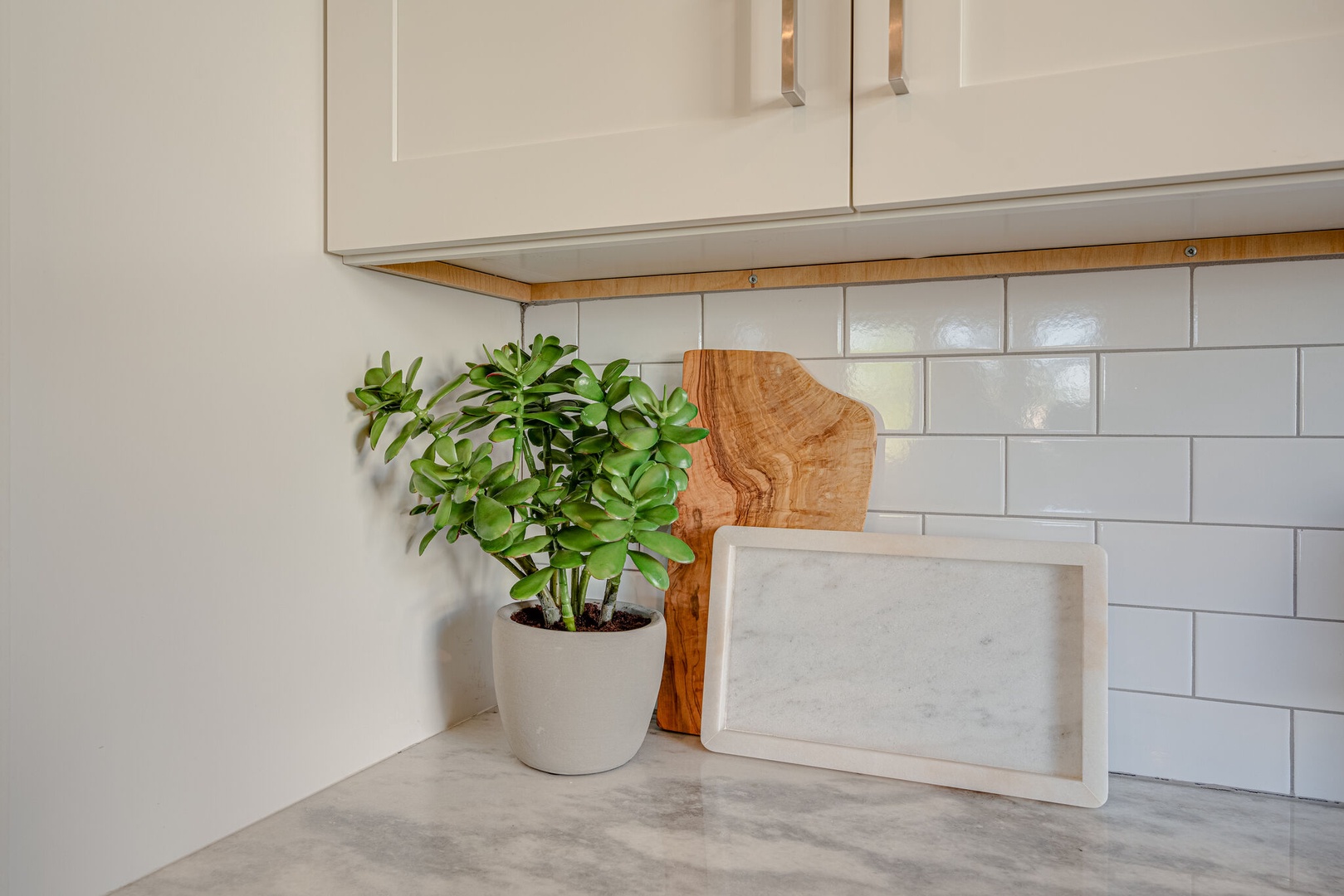 Fully equipped kitchen stocked with basic cooking essentials and stainless steel appliances.