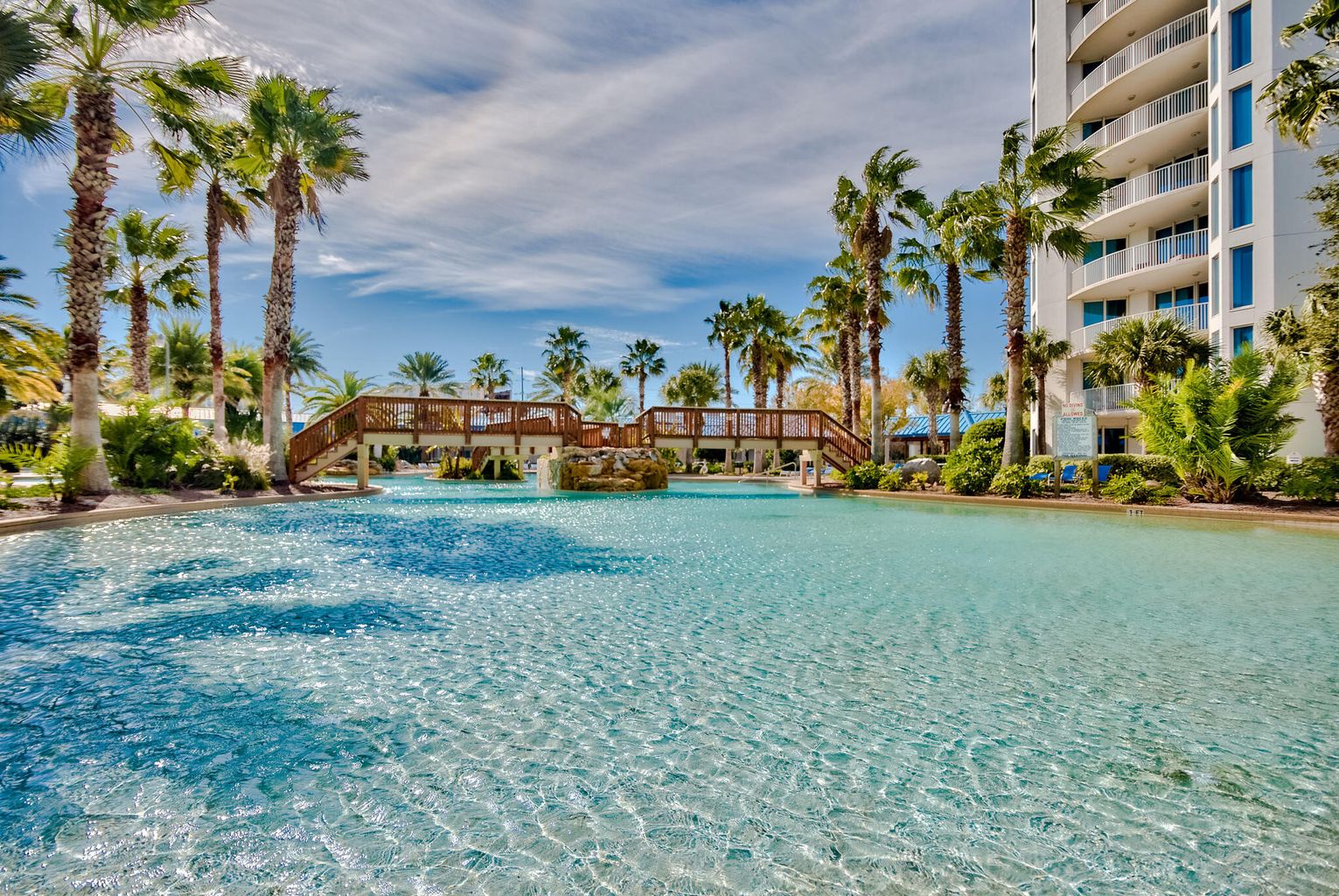 Palms pool 2