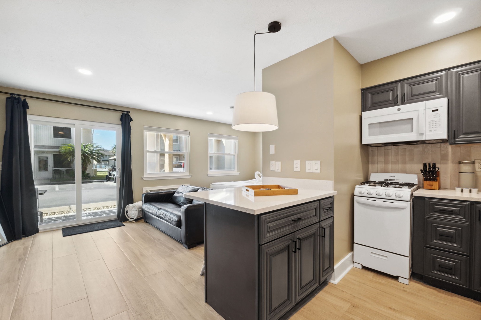 Kitchen area and living room area