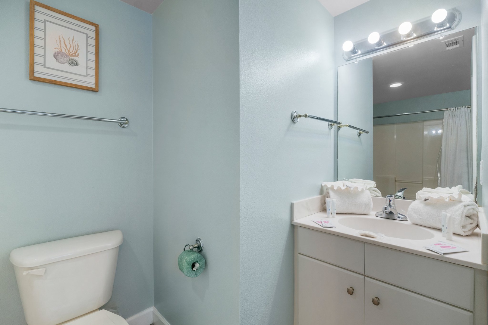 Guest bathroom