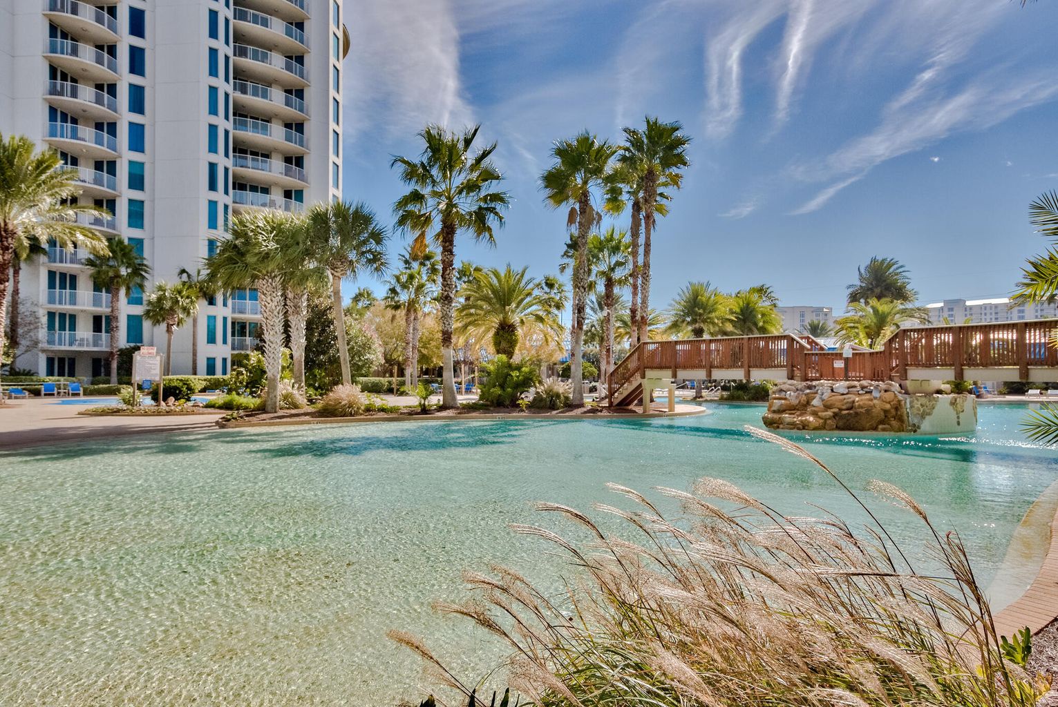 Palms pool 4
