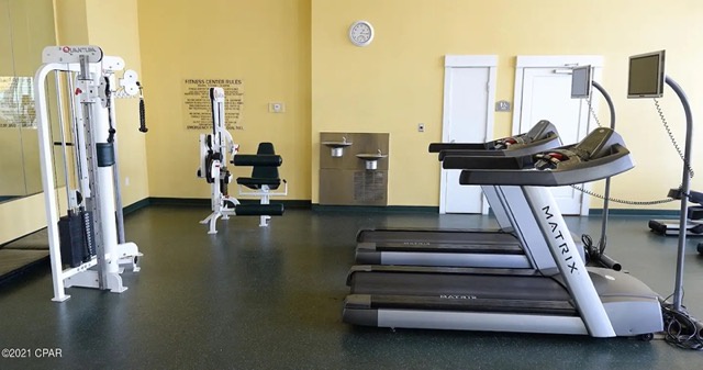 Gym3 GP Medium