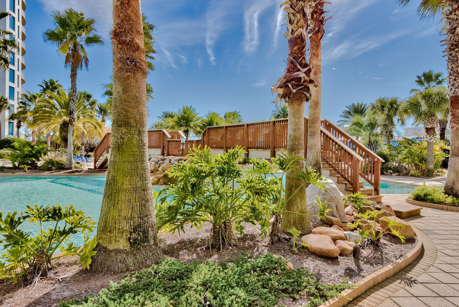 Palms pool 5