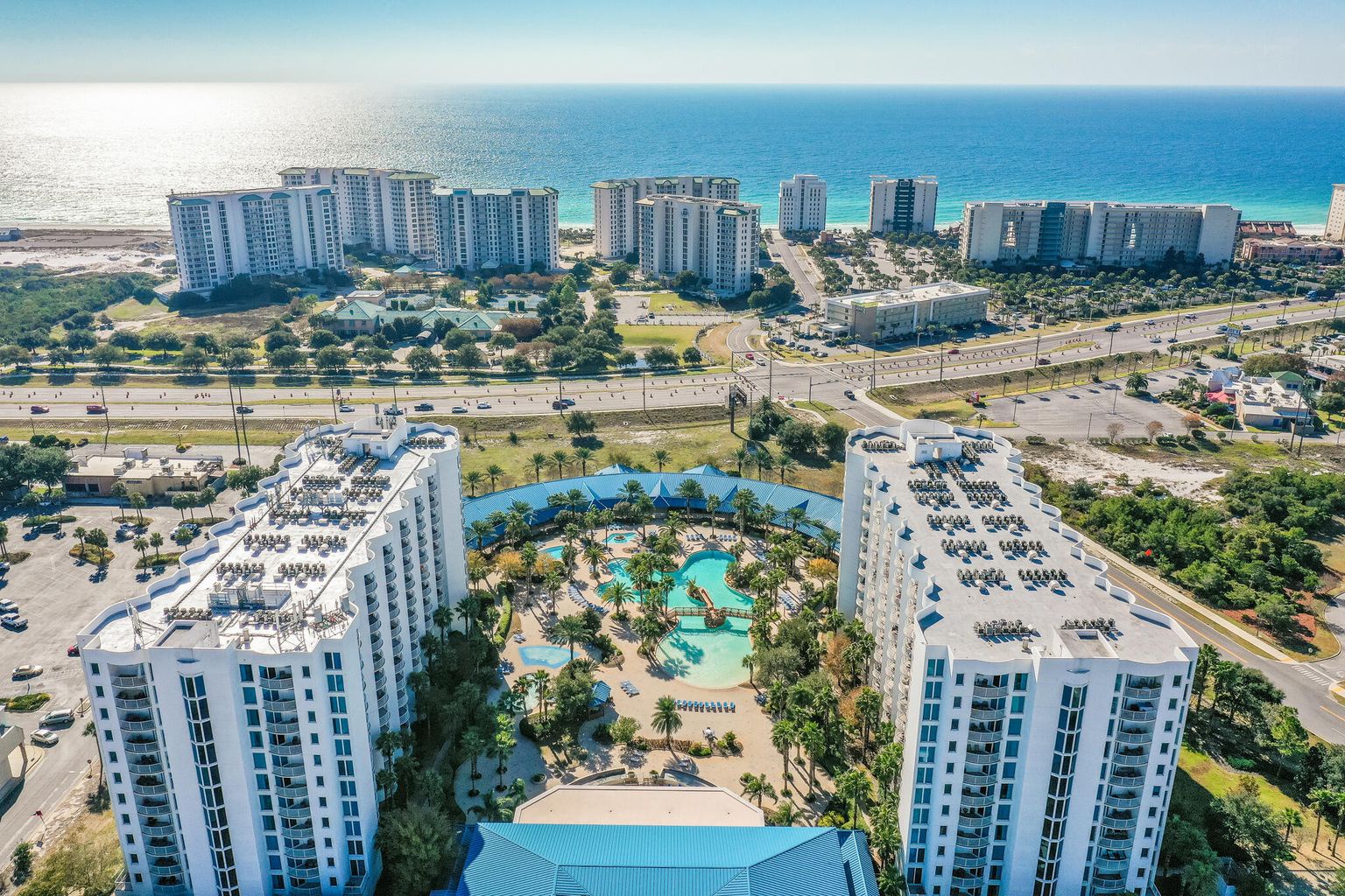 Palms aerial