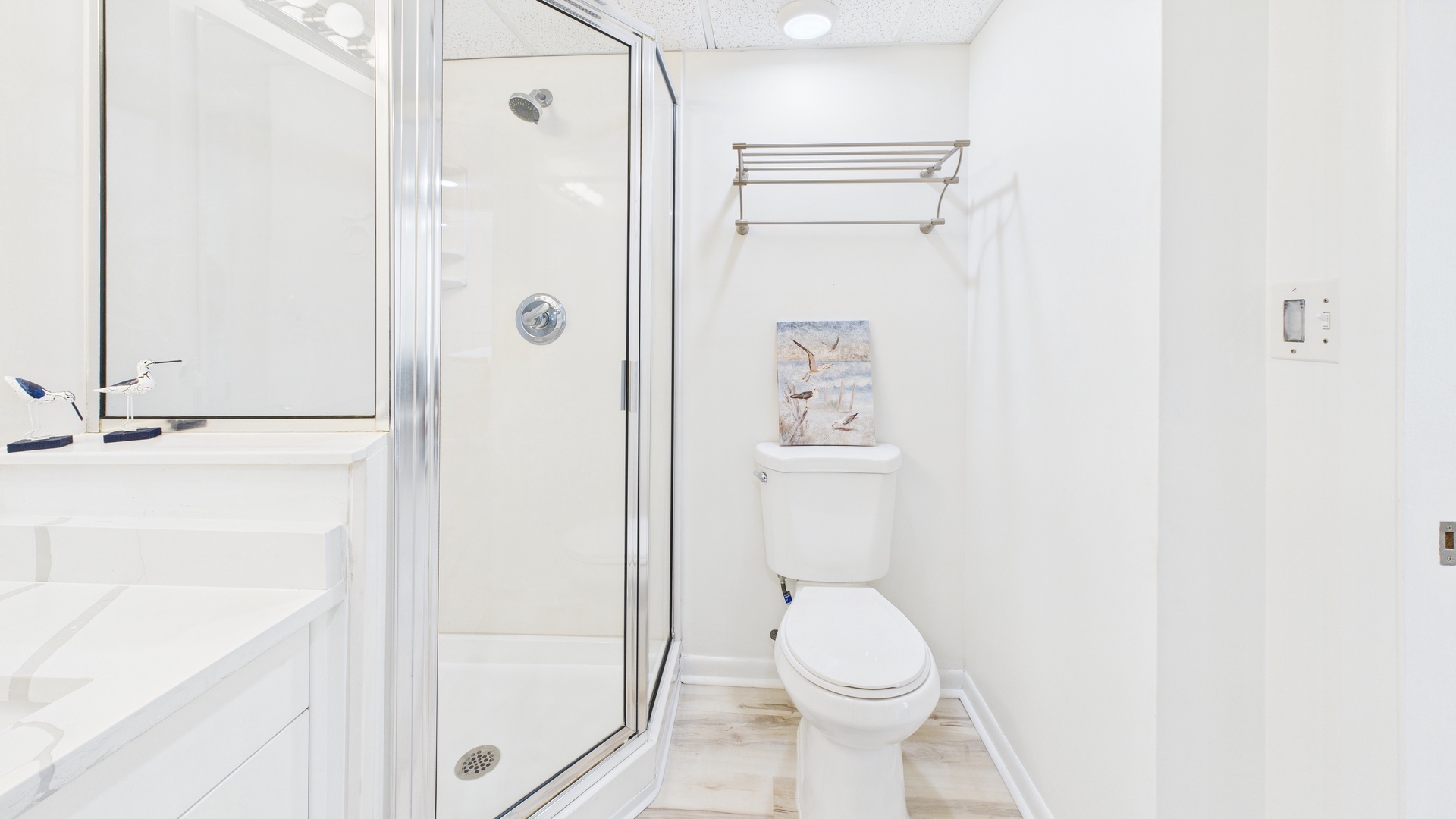 Full bathroom with walk in shower
