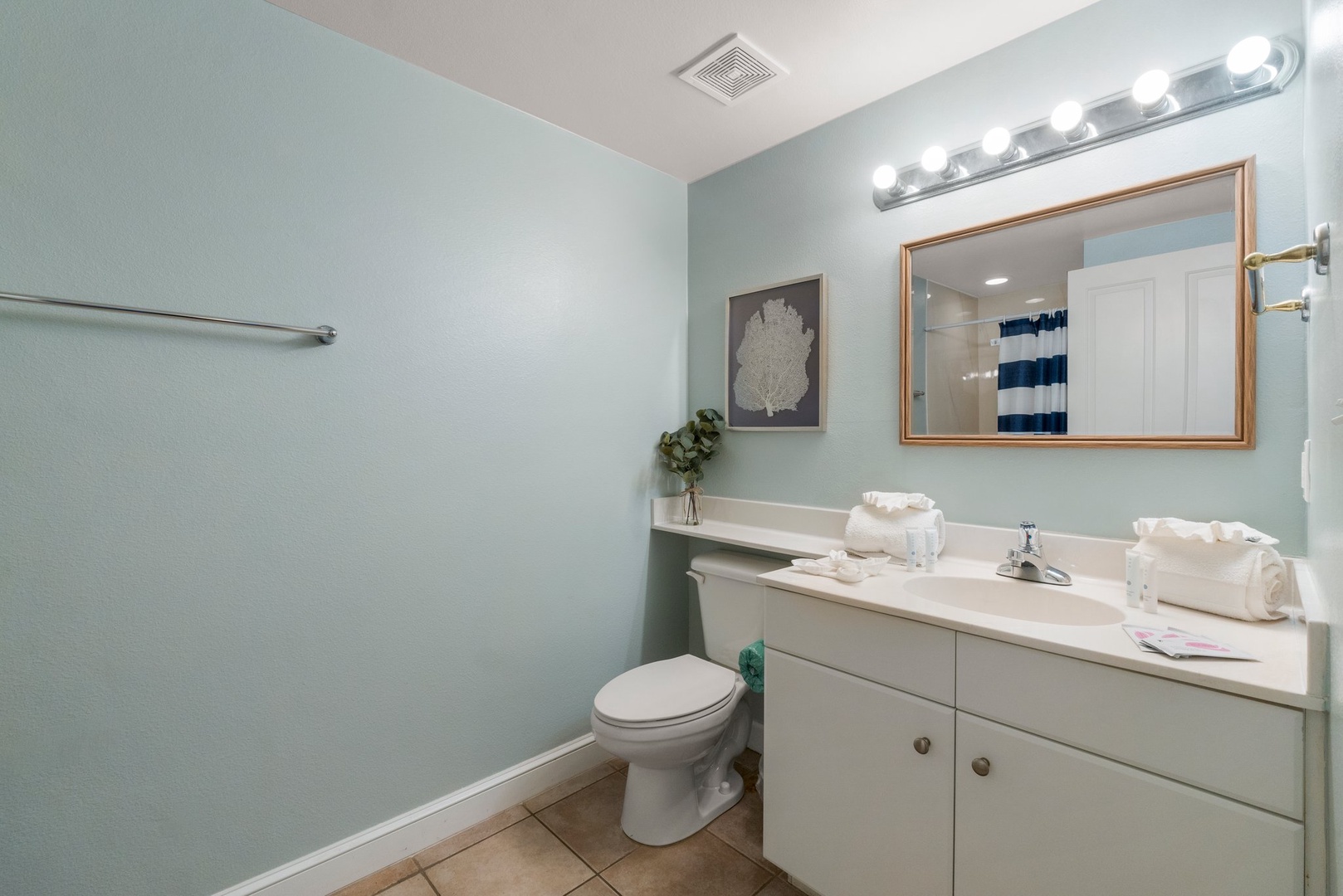 Guest bathroom
