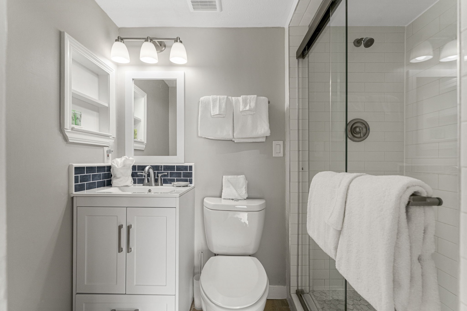 Lower level bedroom  bathroom with walk-in shower