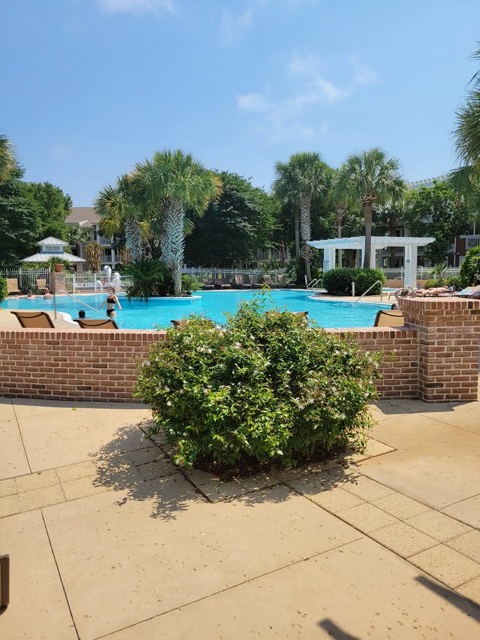 Pool7 Medium