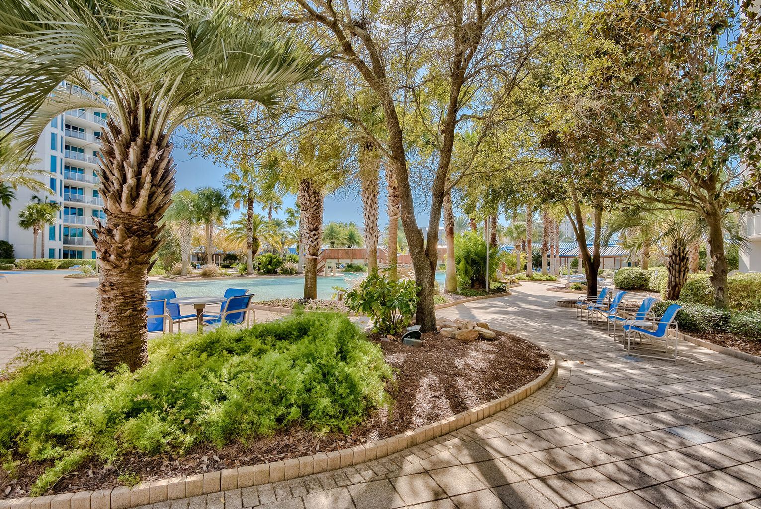Palms boardwalk