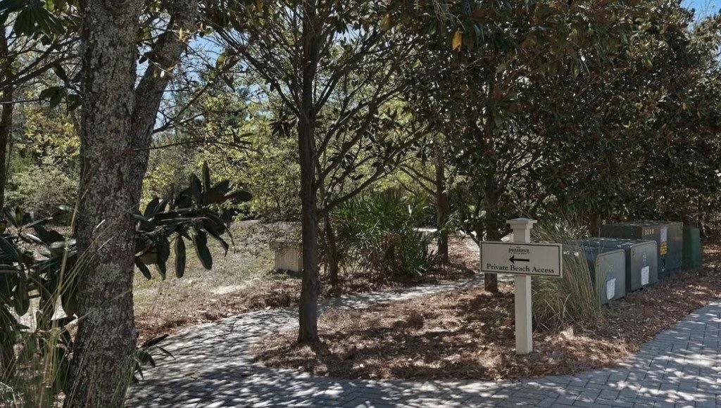 Path to beach access