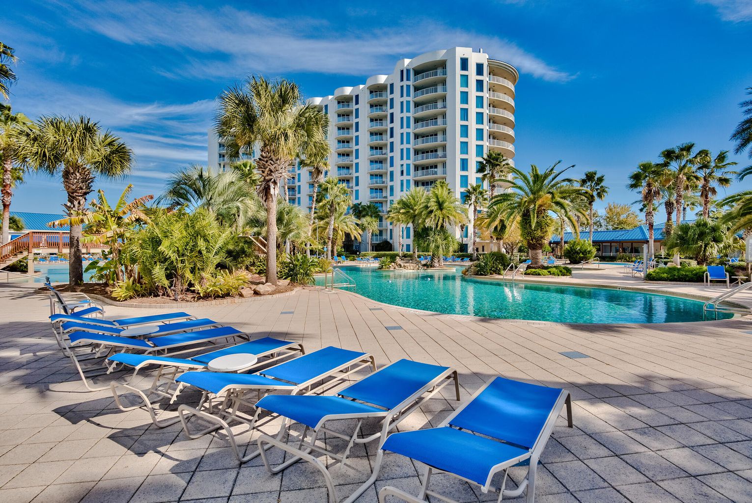 Palms pool 7