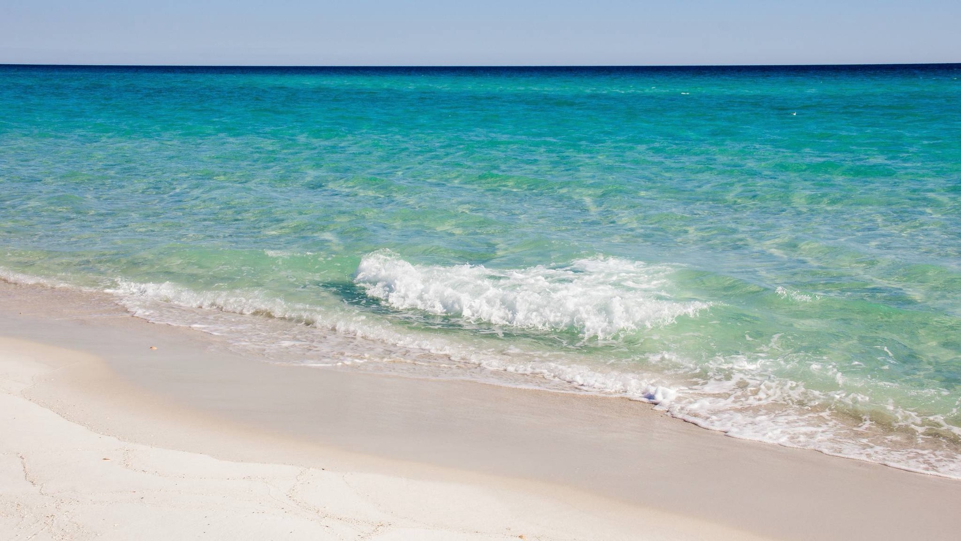 Beautiful gulf coast