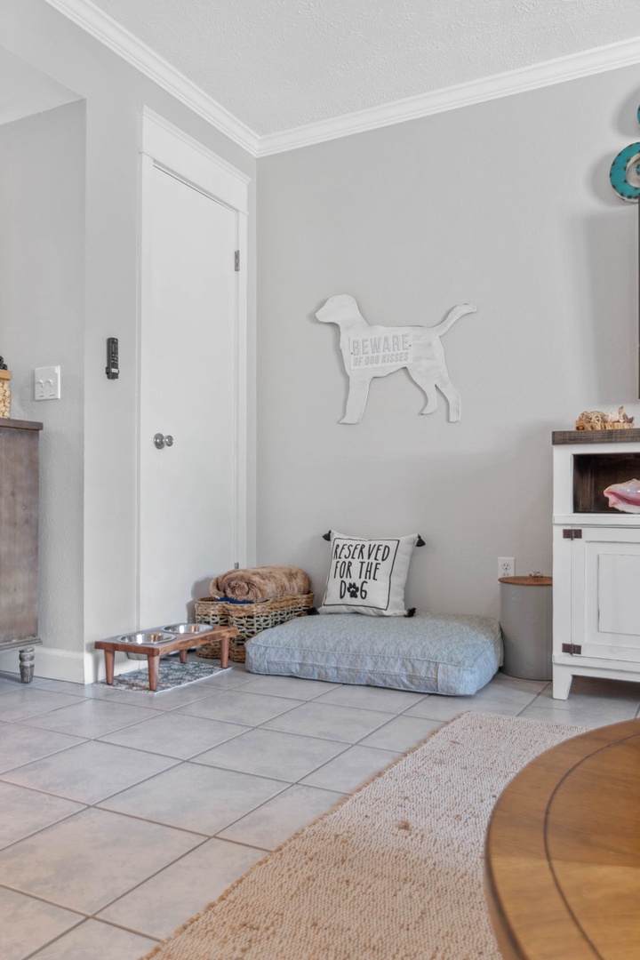 Pet friendly corner of living room