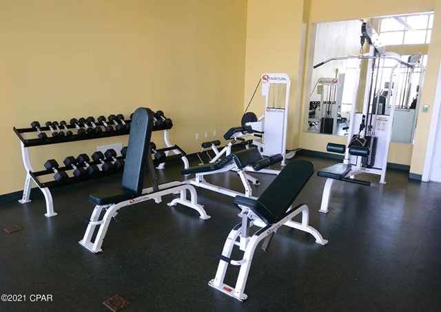 Gym4 GP Medium