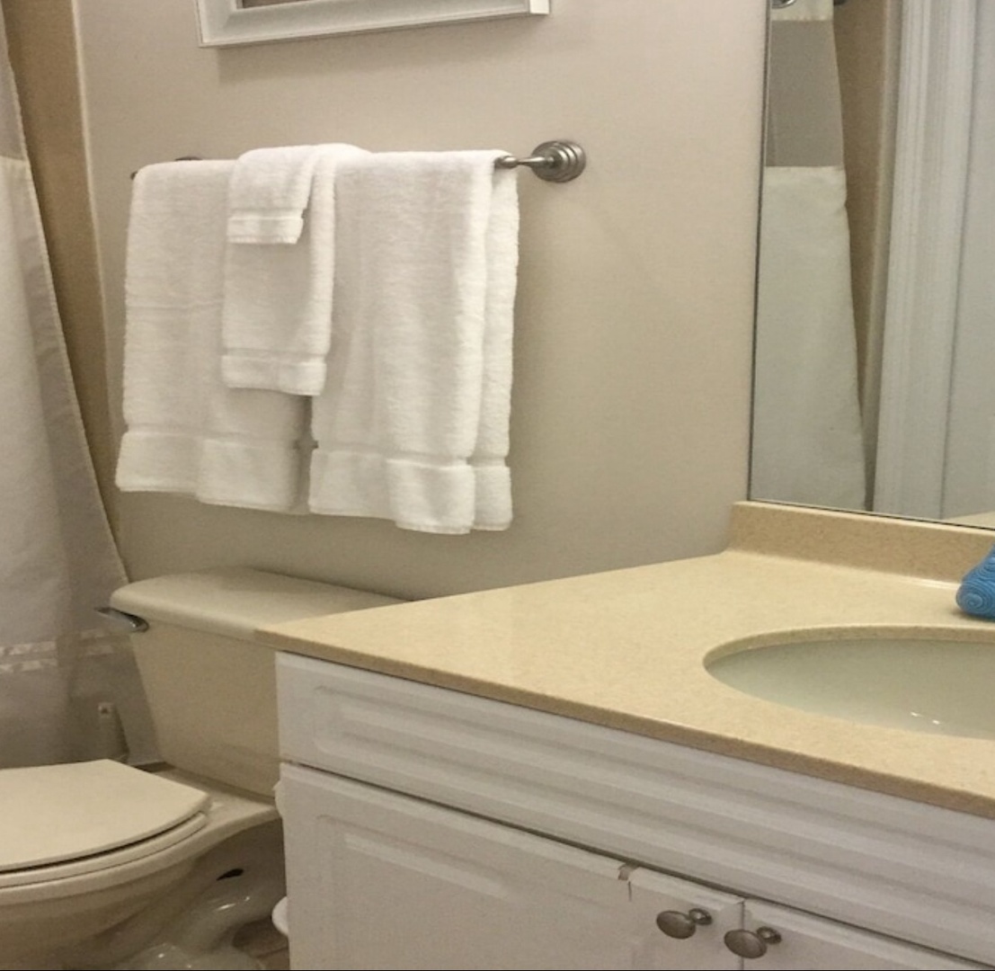 Guest bathroom
